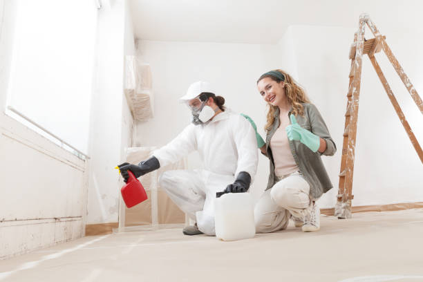 Best Environmental Consulting for Mold Prevention  in Dix Hills, NY